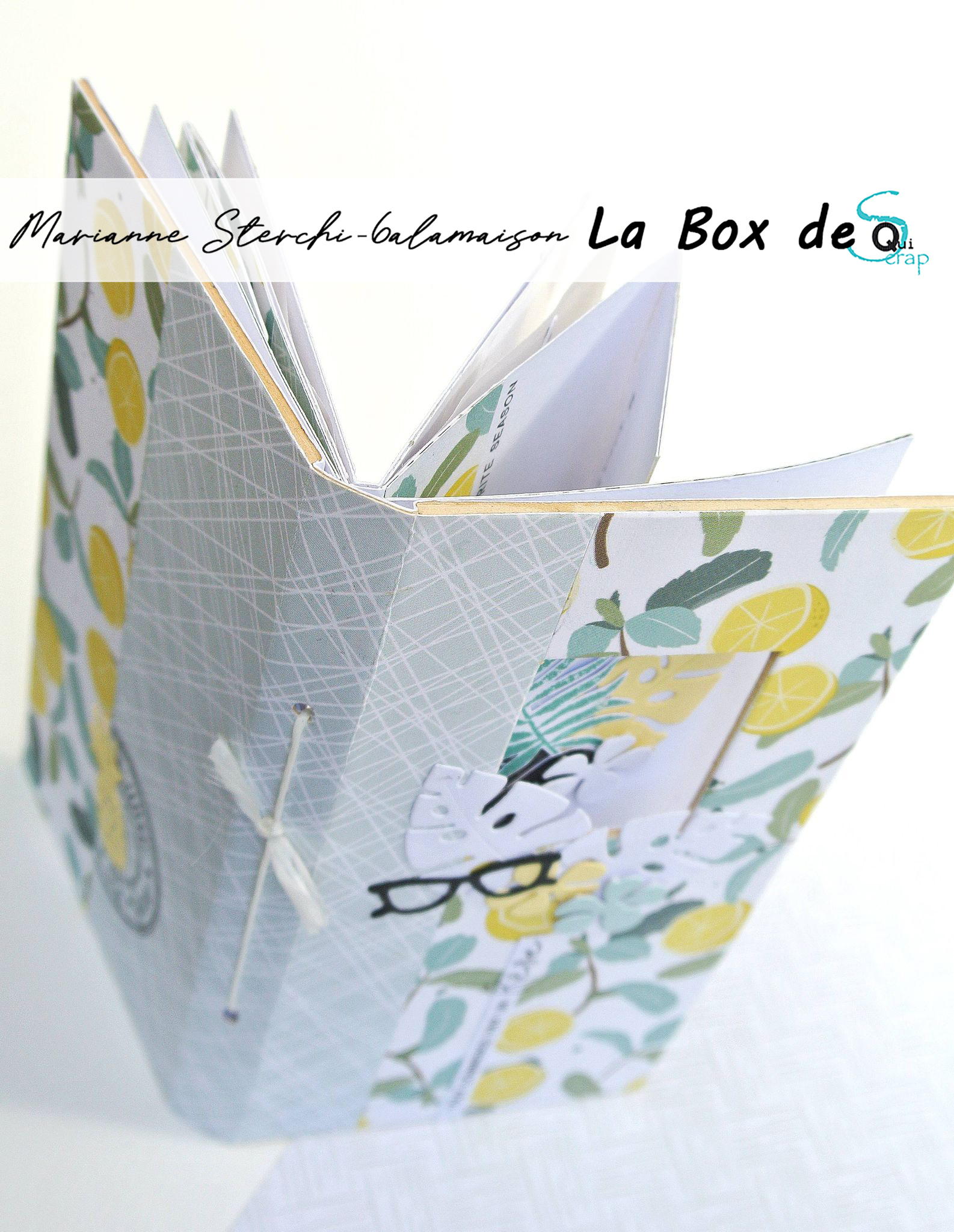 You are currently viewing Tuto n°2 pour la Box d’Aout 2021 par Marianne Sterchi – 6alamaison: Le minialbum