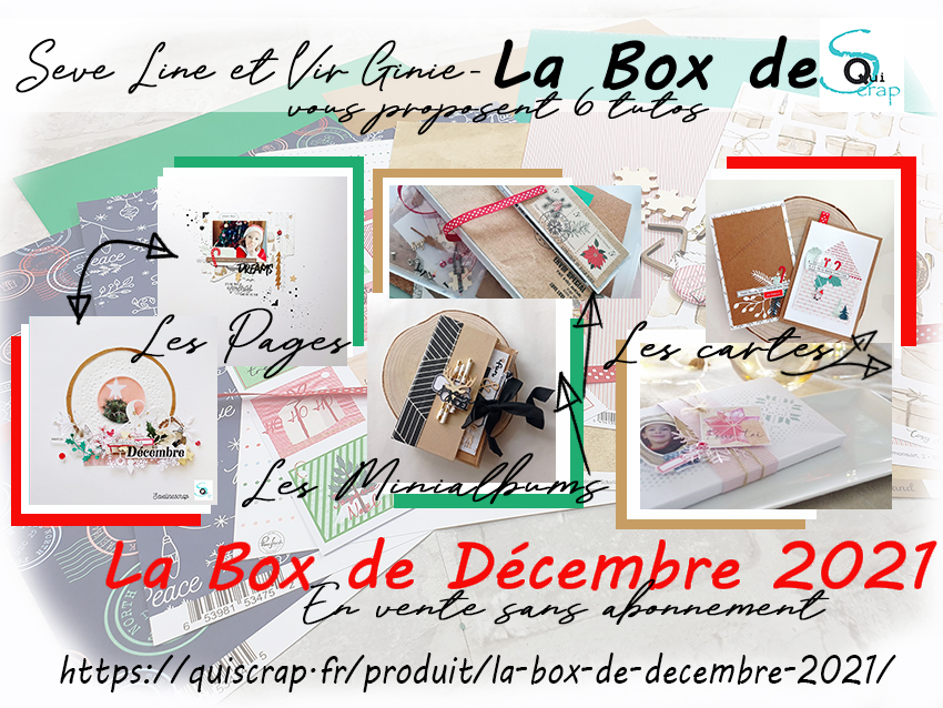 You are currently viewing ***Récapitulatif La Box de Décembre 2021 par Seve Line et Vir Ginie***
