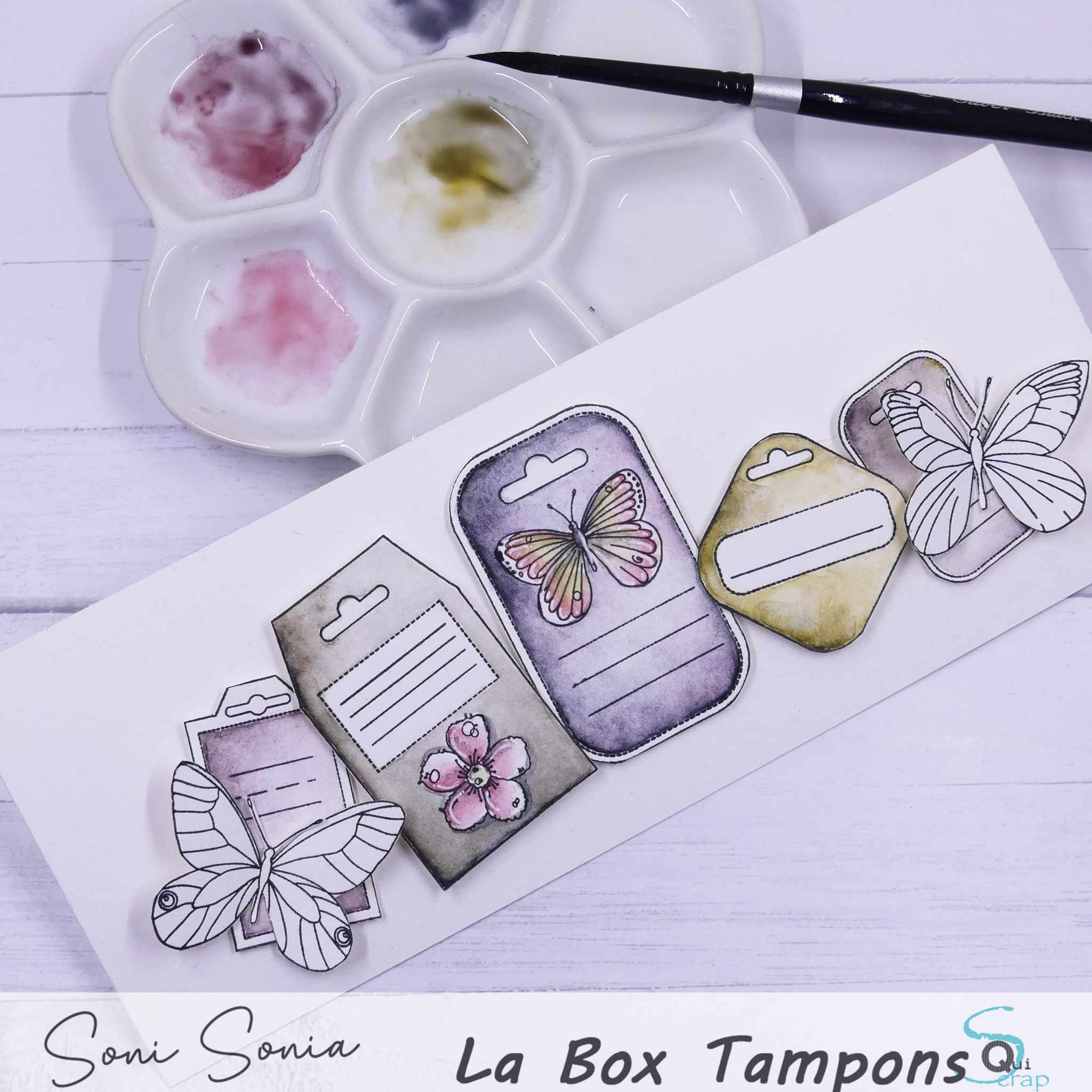 You are currently viewing Zoom sur la Box tampons de Juin 2024 par Sonia