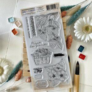 Tampons CLEAR Les fraises – Souvenirs d’été – Chou & Flowers