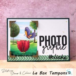 Lire la suite à propos de l’article La carte « mise en scène » de Delphine avec la Box tampons d’Août 2024