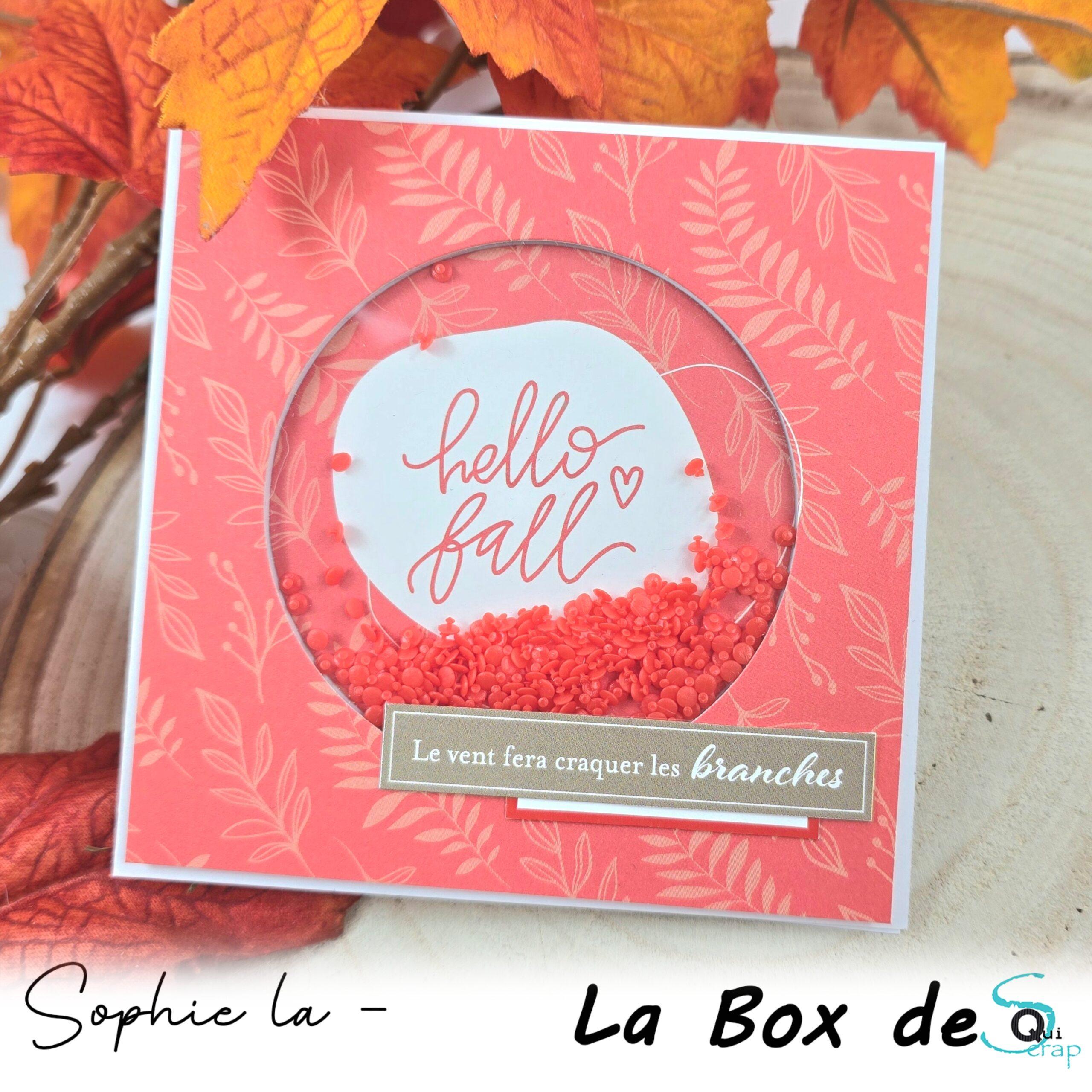 You are currently viewing Tuto n°5 pour la Box de Novembre 2024 par Sophie La