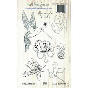 Tampon clear : Collection LITHA – Lily Flowers – La Petite Francaise