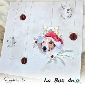 Lire la suite à propos de l’article Tuto n°2 pour la Box de Décembre 2024 par Sophie La