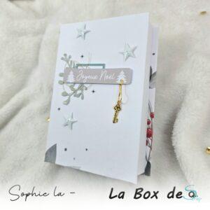 Lire la suite à propos de l’article Tuto n°6 pour la Box de Décembre 2024 par Sophie La