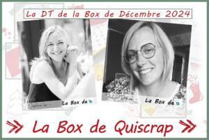 Lire la suite à propos de l’article Les invitées créatives de la Box de Décembre sont Julie Rebier et Sophie La
