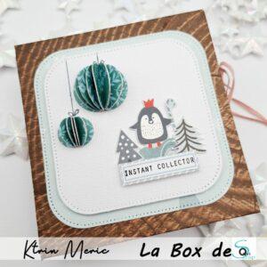 Lire la suite à propos de l’article Tuto n°6 pour la Box de Janvier 2025 par Ktrin Méric