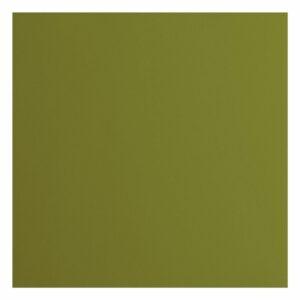 Cardstock Olive (lisse)