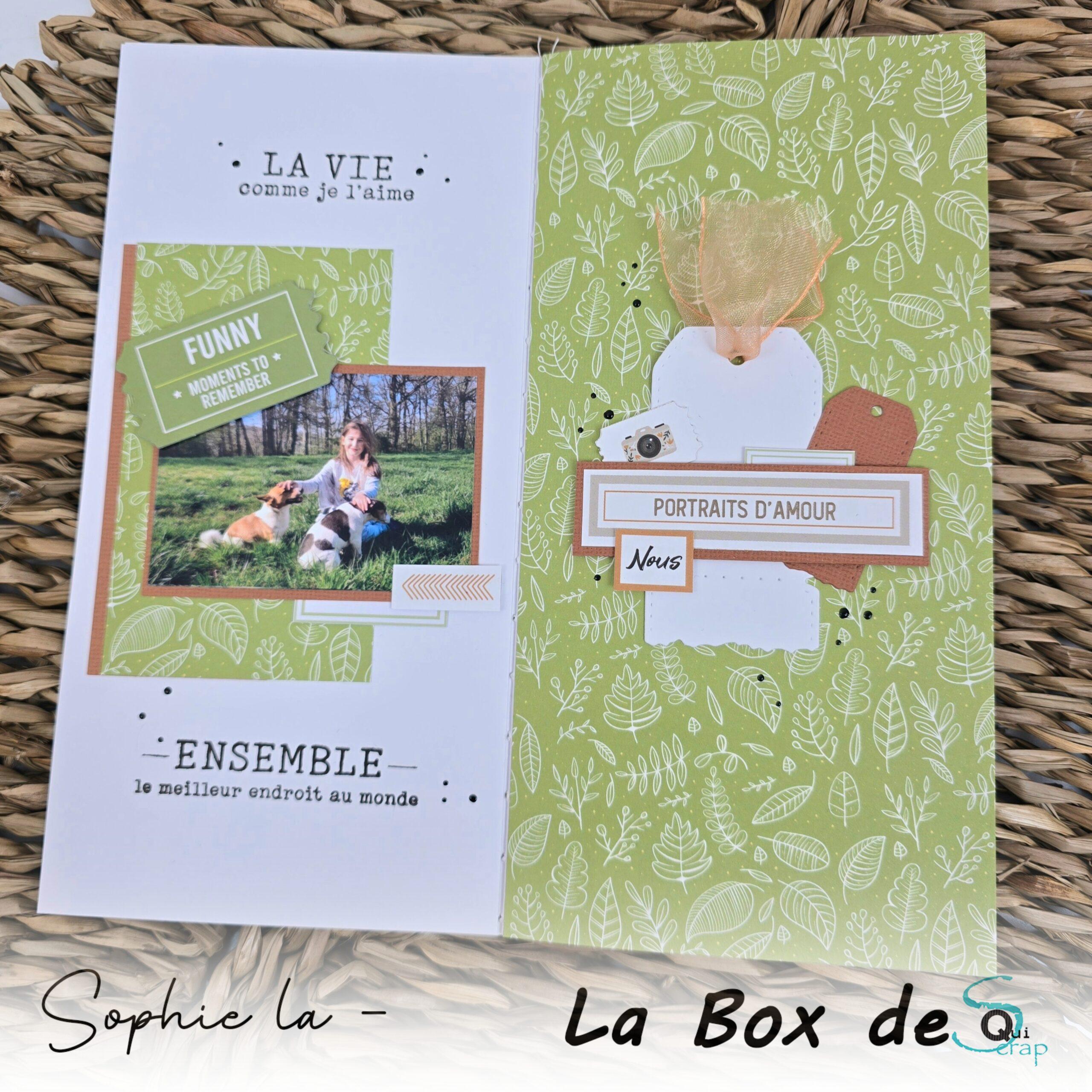 You are currently viewing Tuto n°5 pour la Box de Mars 2025 par Sophie La