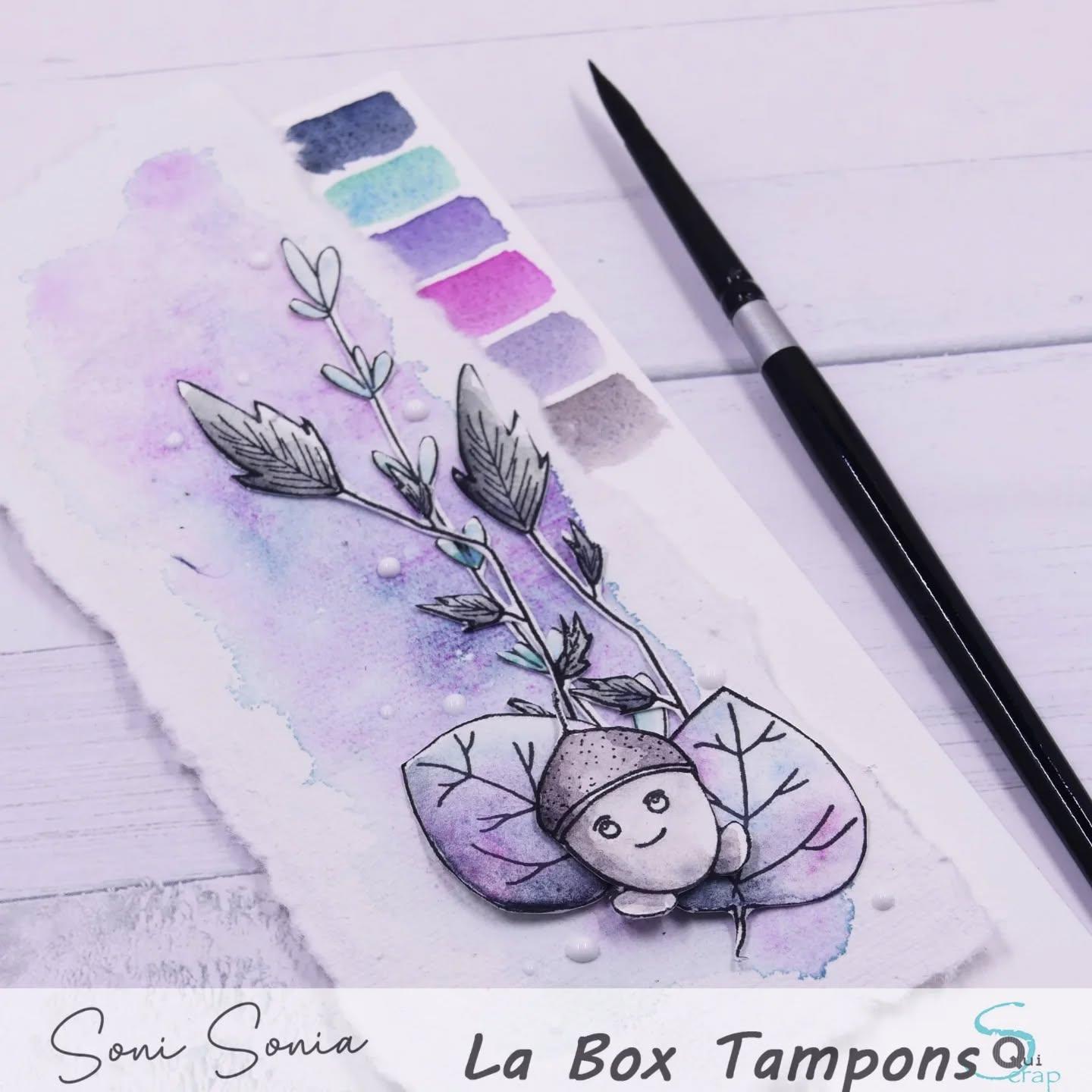 Lire la suite à propos de l’article Zoom sur la planche de Tampons dessinés par Scrap Bouc et colorisés par Sonia
