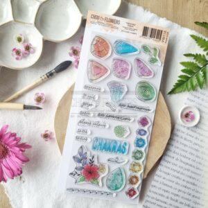 Tampons DL Chakras – Collection VIBRATIONS – Chou & Flowers