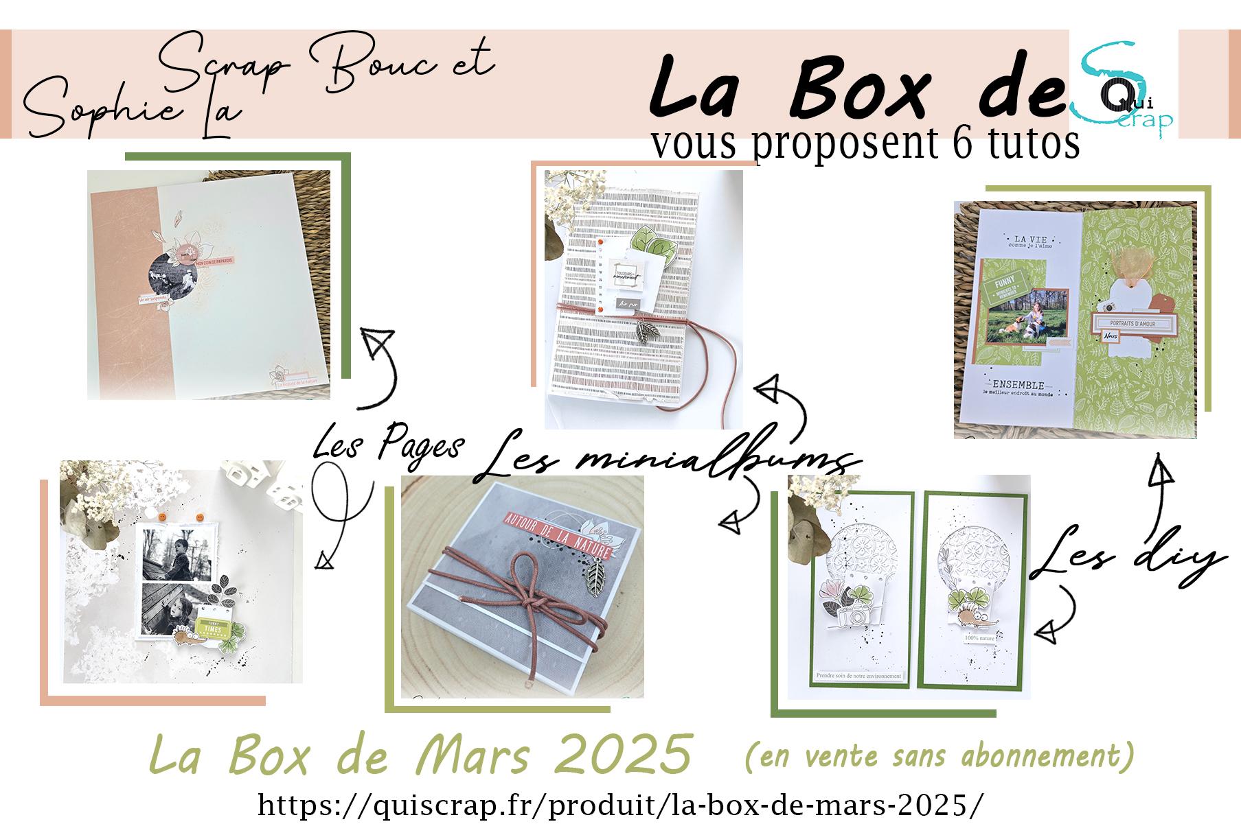 Lire la suite à propos de l’article 6 Tutos à réaliser avec la Box de Mars 2025