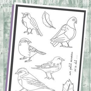 Tampons clear – Cui cui les petits oiseaux – Collection Sentimentalement vôtre