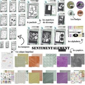 Collection complète Sentimentalement vôtre