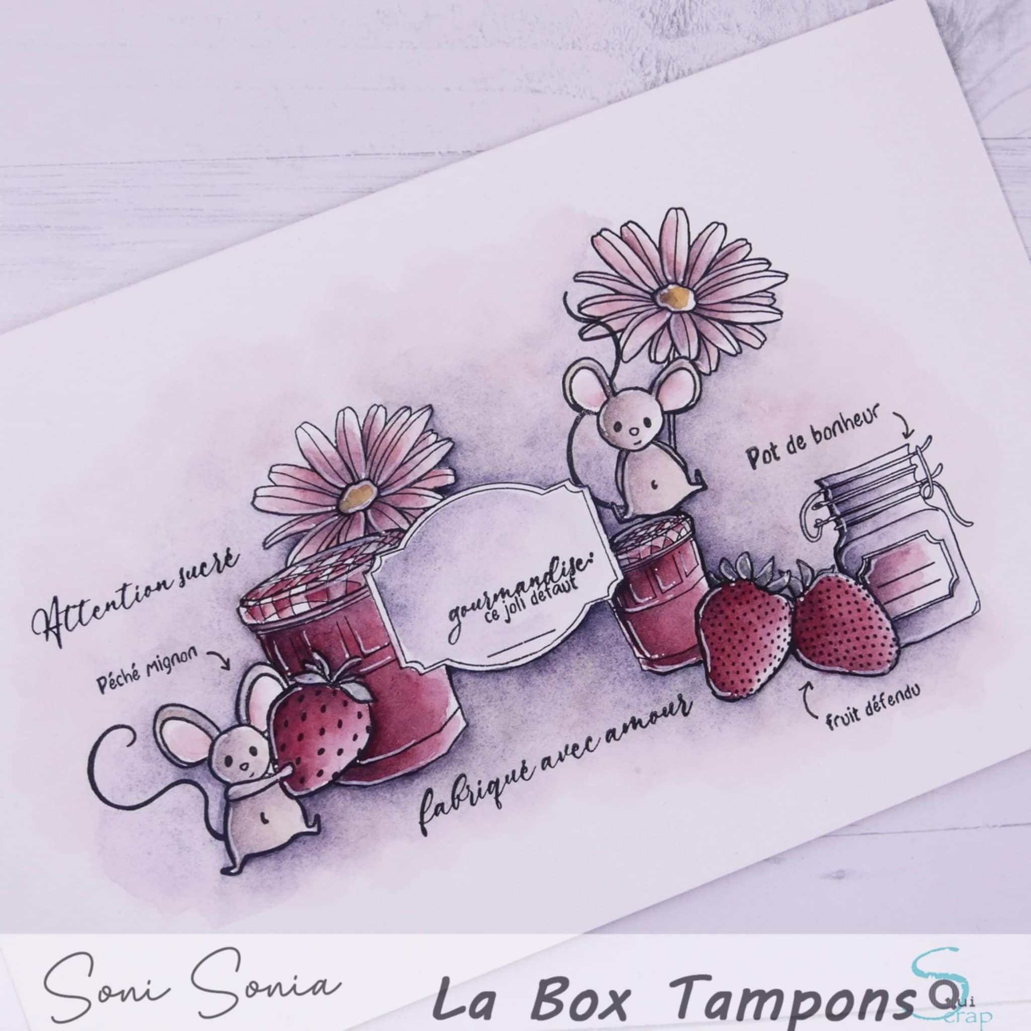 You are currently viewing Zoom sur la Box Tampons de Mai 2025 par Sonia