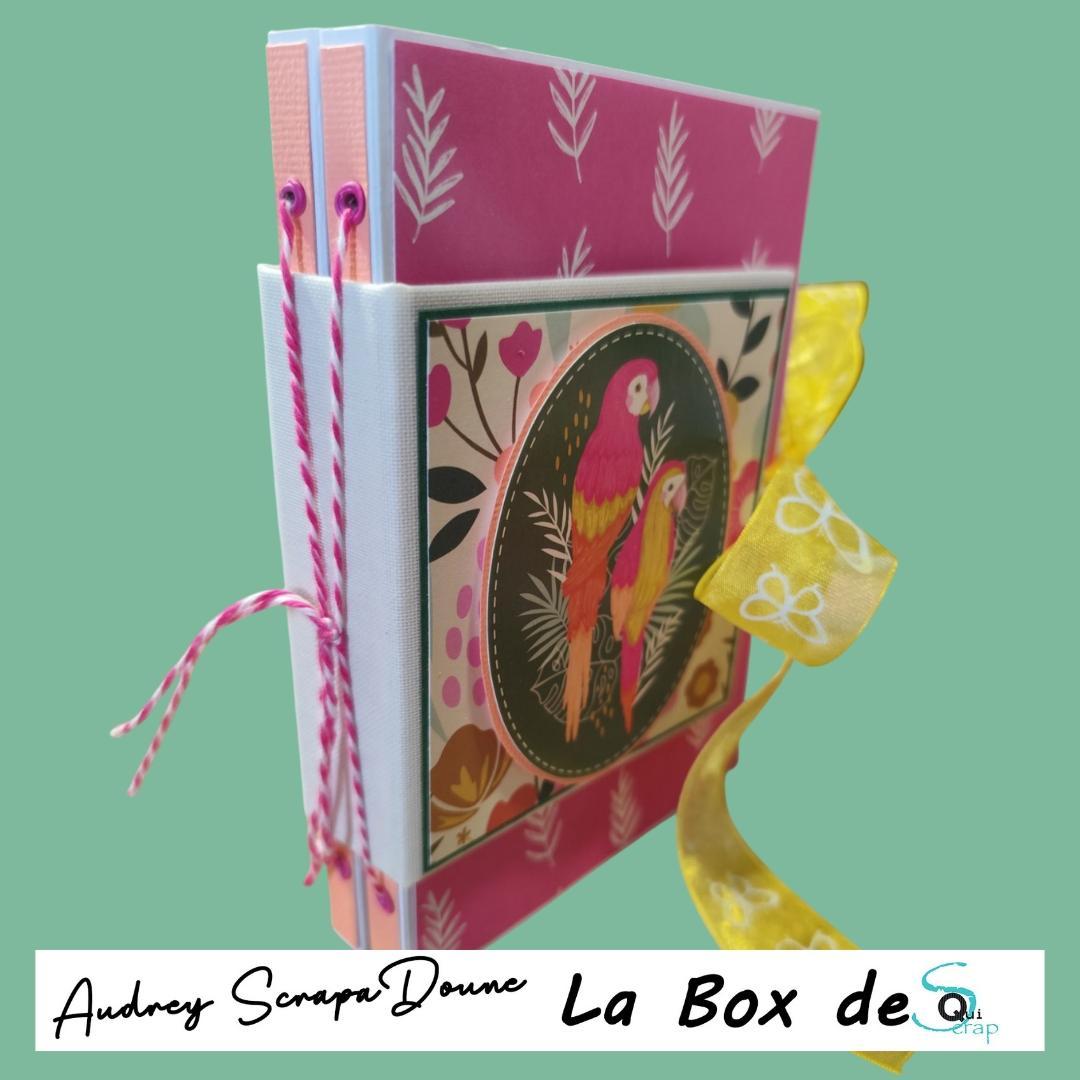 Lire la suite à propos de l’article Tuto n°1 pour la Box de Juin 2025 par Audrey Scrapadoune