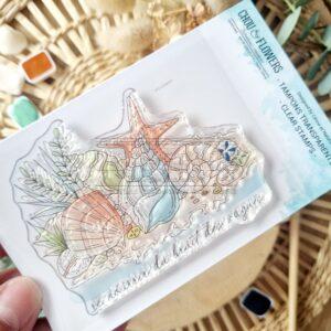 CLEAR A7 LES COQUILLAGES – REVE AZUR – Chou & Flowers