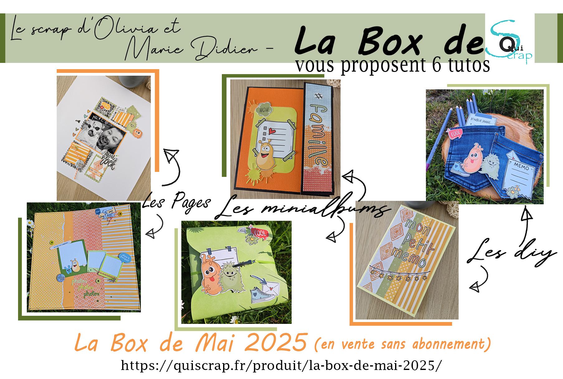 Lire la suite à propos de l’article 6 Tutos à réaliser avec la Box de Mai 2025