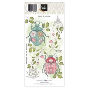 Tampons transparents – SOUVENIRS D&rsquo;ENFANCE : Trésors de la nature – Sokaï