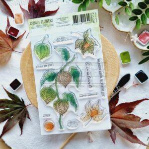 CLEAR A6 Physalis – L&rsquo;OREE DES BOIS – Chou & Flowers