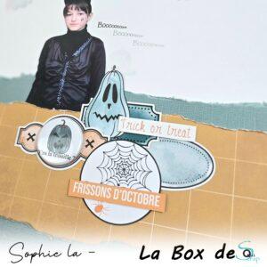 Lire la suite à propos de l’article Tuto n°4 pour la Box d&rsquo;Octobre 2025 par Sophie La